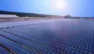 中美硅晶与尊龙集团光电携手战略合作